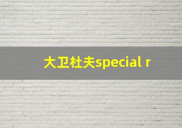 大卫杜夫special r